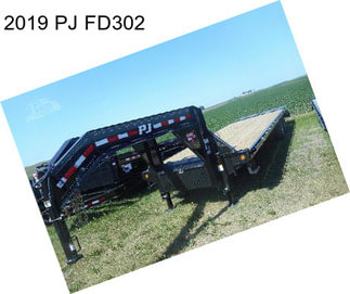 2019 PJ FD302