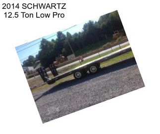 2014 SCHWARTZ 12.5 Ton Low Pro