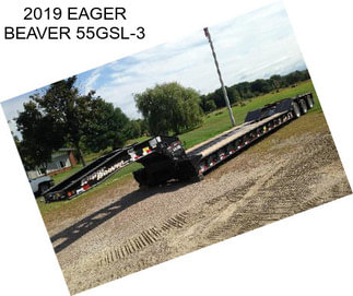 2019 EAGER BEAVER 55GSL-3