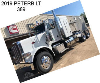 2019 PETERBILT 389