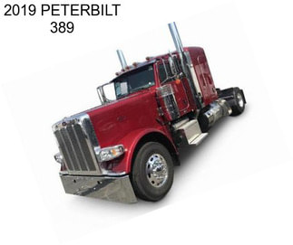 2019 PETERBILT 389