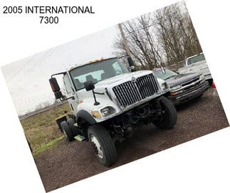 2005 INTERNATIONAL 7300