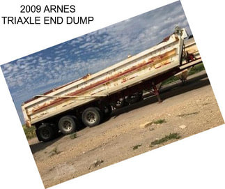 2009 ARNES TRIAXLE END DUMP