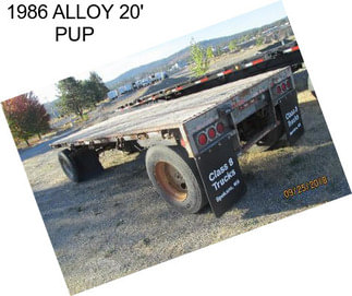 1986 ALLOY 20\' PUP