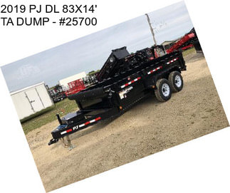 2019 PJ DL 83\