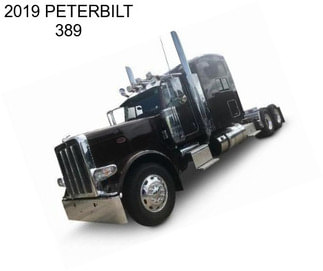 2019 PETERBILT 389