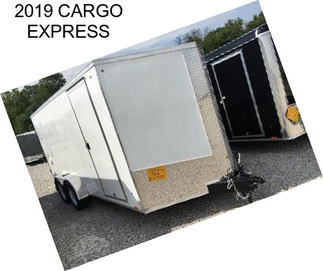 2019 CARGO EXPRESS