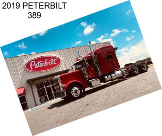 2019 PETERBILT 389