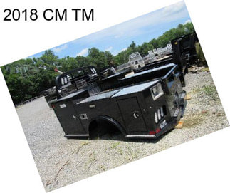 2018 CM TM