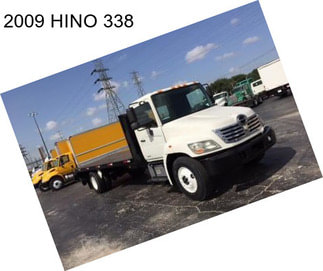 2009 HINO 338