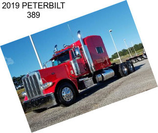 2019 PETERBILT 389