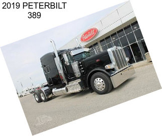 2019 PETERBILT 389