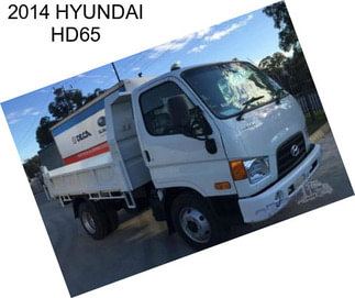 2014 HYUNDAI HD65