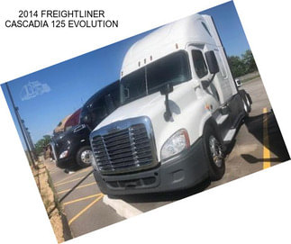 2014 FREIGHTLINER CASCADIA 125 EVOLUTION