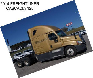 2014 FREIGHTLINER CASCADIA 125