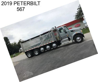 2019 PETERBILT 567