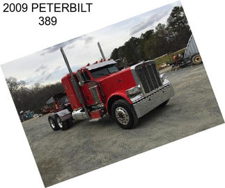 2009 PETERBILT 389