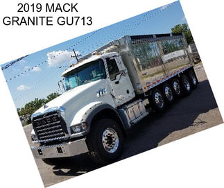 2019 MACK GRANITE GU713