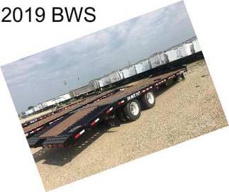 2019 BWS