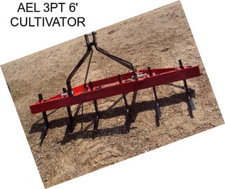 AEL 3PT 6\' CULTIVATOR