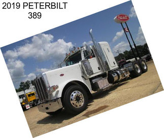 2019 PETERBILT 389