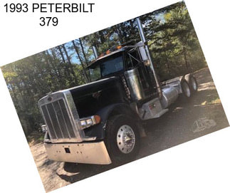 1993 PETERBILT 379