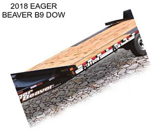 2018 EAGER BEAVER B9 DOW