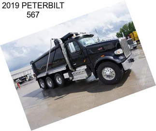 2019 PETERBILT 567