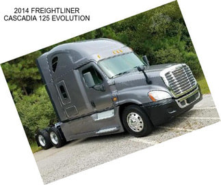 2014 FREIGHTLINER CASCADIA 125 EVOLUTION