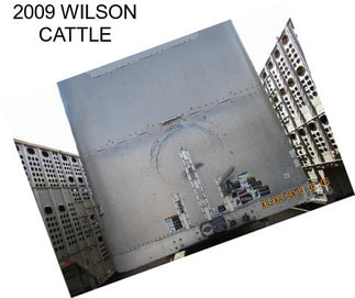 2009 WILSON CATTLE