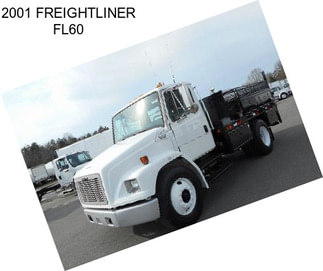 2001 FREIGHTLINER FL60