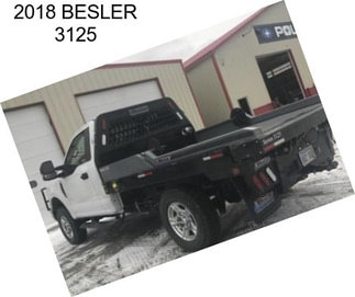 2018 BESLER 3125