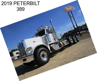 2019 PETERBILT 389