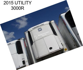 2015 UTILITY 3000R