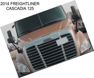 2014 FREIGHTLINER CASCADIA 125