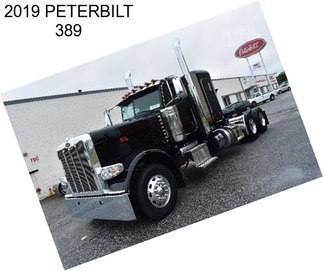 2019 PETERBILT 389