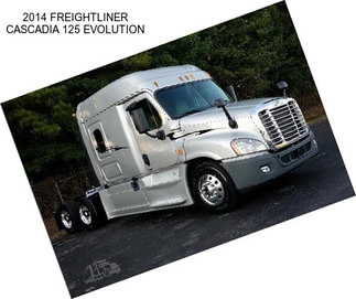 2014 FREIGHTLINER CASCADIA 125 EVOLUTION