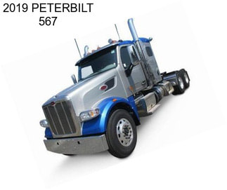 2019 PETERBILT 567