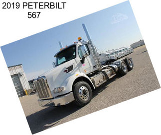 2019 PETERBILT 567