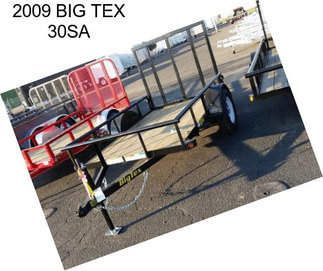 2009 BIG TEX 30SA