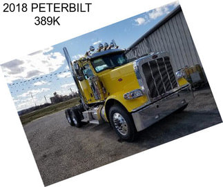 2018 PETERBILT 389K