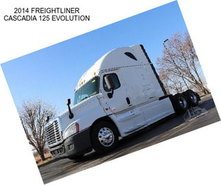 2014 FREIGHTLINER CASCADIA 125 EVOLUTION