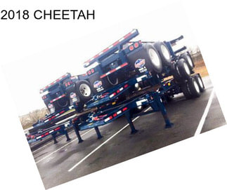 2018 CHEETAH