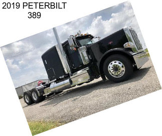 2019 PETERBILT 389