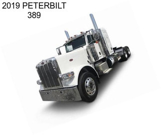 2019 PETERBILT 389