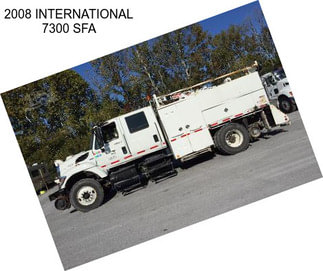 2008 INTERNATIONAL 7300 SFA