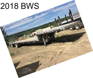 2018 BWS