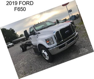 2019 FORD F650