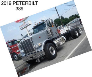 2019 PETERBILT 389