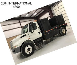 2004 INTERNATIONAL 4300